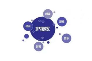 《新疆味道》 一部紀錄片的網(wǎng)絡(luò)文化創(chuàng)作與市場運營之道