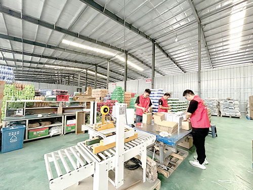筑巢引商興產業，日用品銷售繪就鄉村新畫卷